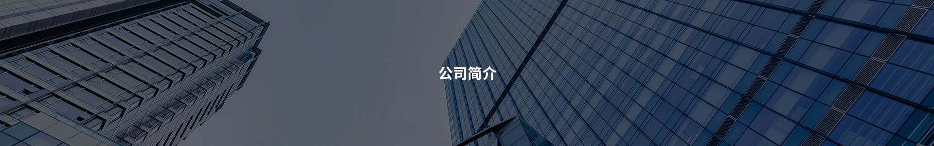 公司简介